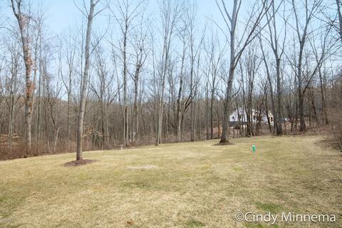 4533 Amazon Dr, Lowell, MI 49331 photo 25