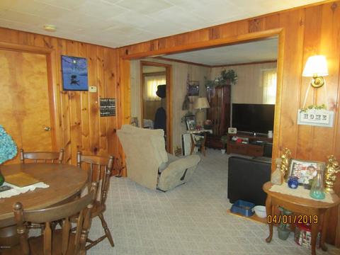 371 Adele Dr, Trufant, MI 49347 photo 4