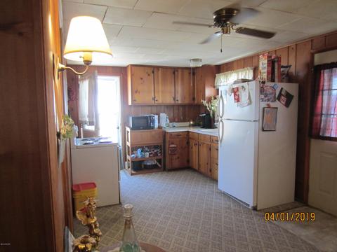 371 Adele Dr, Trufant, MI 49347 photo 3