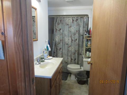 371 Adele Dr, Trufant, MI 49347 photo 6