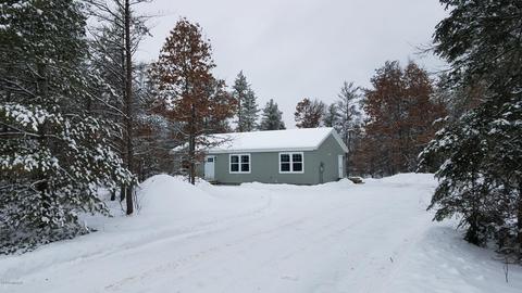 4366 W Pinecrest Rd, Grayling, MI 49738 photo 1