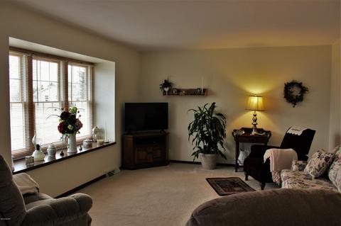 425 Johnson St, Edmore, MI 48829 photo 8