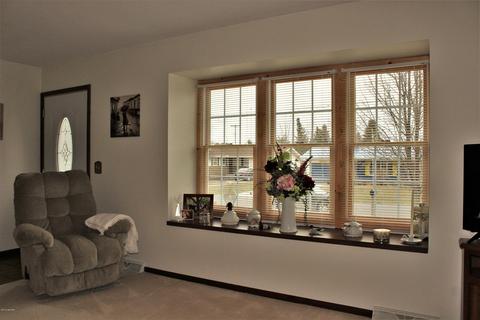 425 Johnson St, Edmore, MI 48829 photo 9