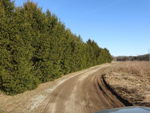 1237 E Arthur Rd, Rothbury, MI 49452 photo 26