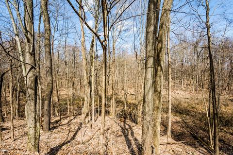 2941 Chamberlain Rd, Buchanan, MI 49107 photo 4