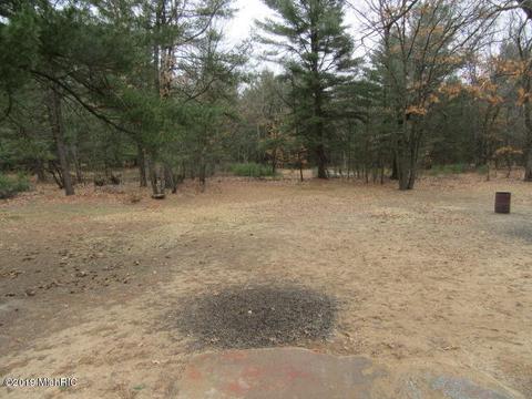336 S Locust Ave, White Cloud, MI 49349 photo 20