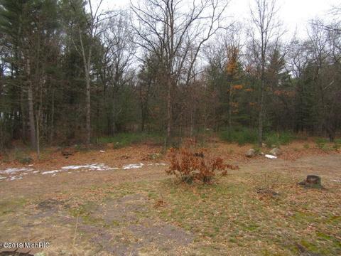 336 S Locust Ave, White Cloud, MI 49349 photo 19
