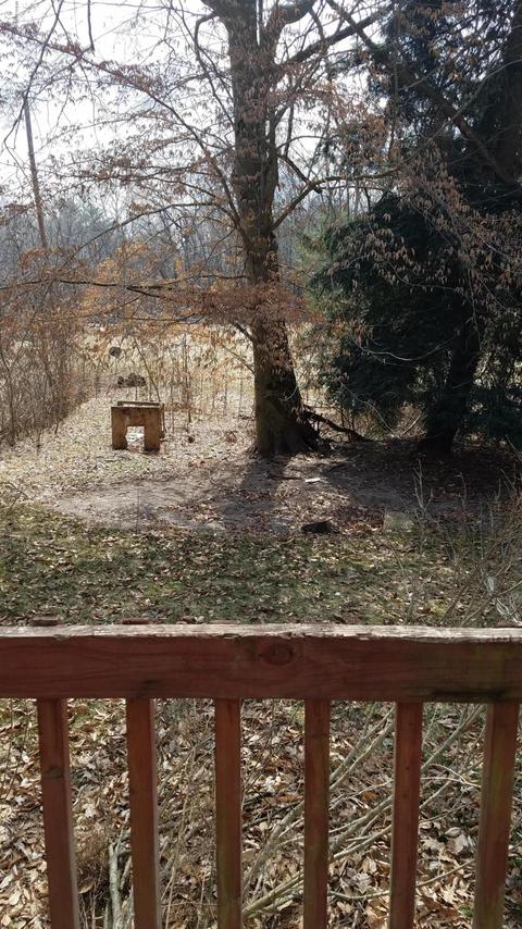 77900 30th Ave, Covert, MI 49043 photo 28