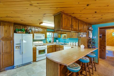 65595 E Peninsula Dr, Cassopolis, MI 49031 photo 3