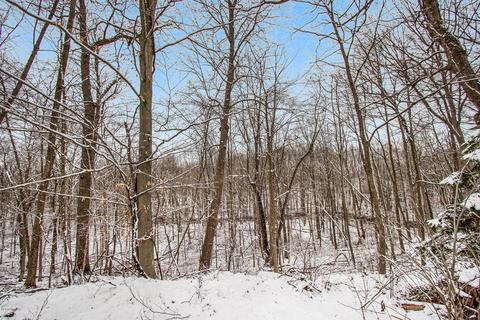 1935 E Parmeter Rd, Ionia, MI 48846 photo 54