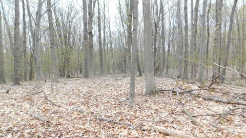 2633 E Washington Rd, White Cloud, MI 49349 photo 4