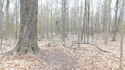 2633 E Washington Rd, White Cloud, MI 49349 photo 3