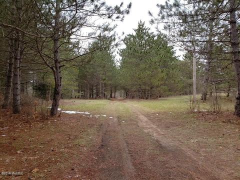 2782 E 1 Mile Rd, White Cloud, MI 49349 photo 10