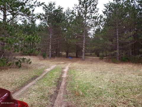 2782 E 1 Mile Rd, White Cloud, MI 49349 photo 12