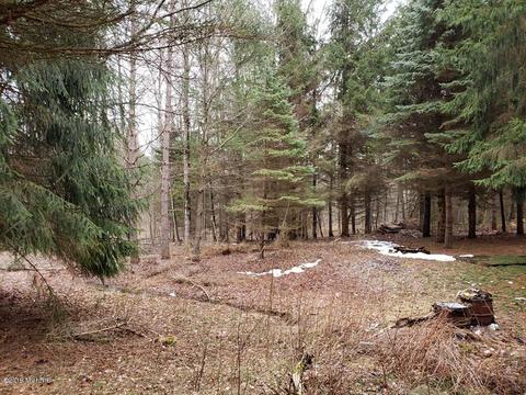 2782 E 1 Mile Rd, White Cloud, MI 49349 photo 37