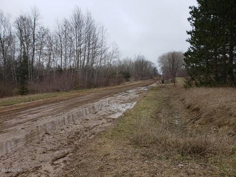 2782 E 1 Mile Rd, White Cloud, MI 49349 photo 8