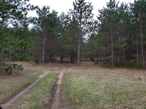 2782 E 1 Mile Rd, White Cloud, MI 49349 photo 11
