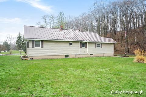 1251 Guernsey Rd, Lyons, MI 48851 photo 4