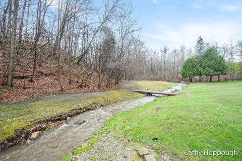 1251 Guernsey Rd, Lyons, MI 48851 photo 8