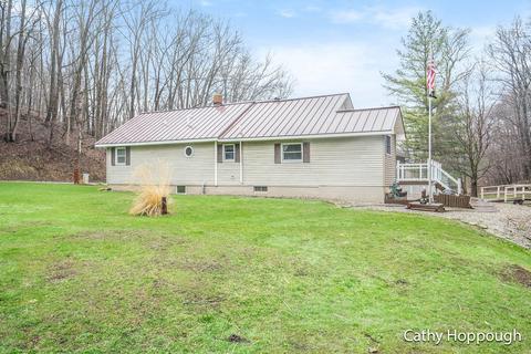 1251 Guernsey Rd, Lyons, MI 48851 photo 6