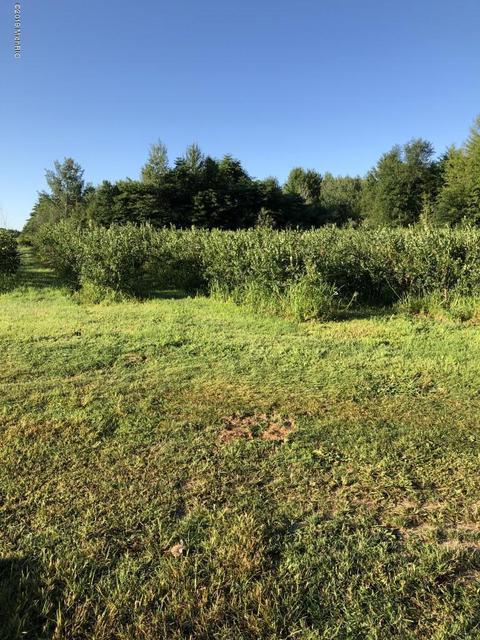 34981 69th St, Covert, MI 49043 photo 28