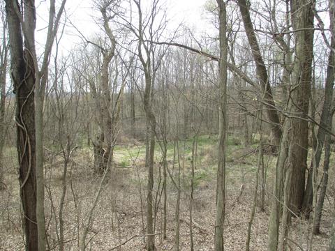 8420 S Edon Rd, Reading, MI 49274 photo 16