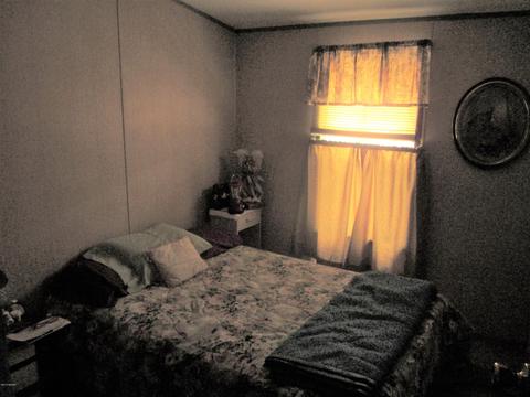 8420 S Edon Rd, Reading, MI 49274 photo 4