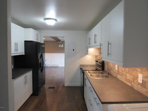207 Southeastern, Galien, MI 49113 photo 3
