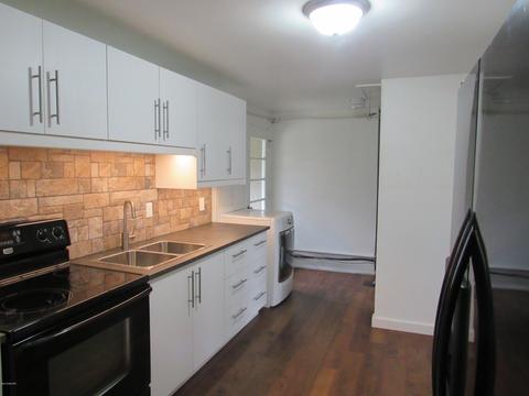 207 Southeastern, Galien, MI 49113 photo 4