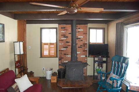 9456 Trout Dr, Sears, MI 49679 photo 41