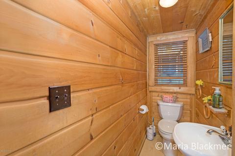 1905 Bugbee Rd, Ionia, MI 48846 photo 12