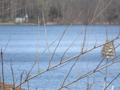 8300 Sun Set Rd, Reading, MI 49274 photo 21