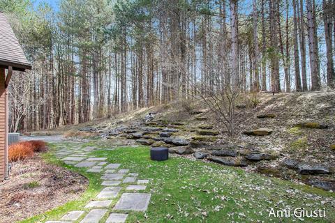 8200 Conservation St NE, Ada, MI 49301 photo 50