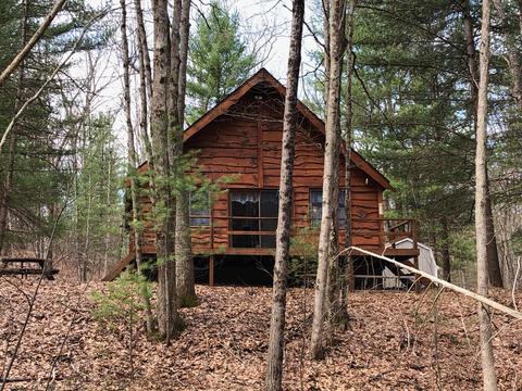 11077 N Java Rd, Irons, MI 49644 photo 18