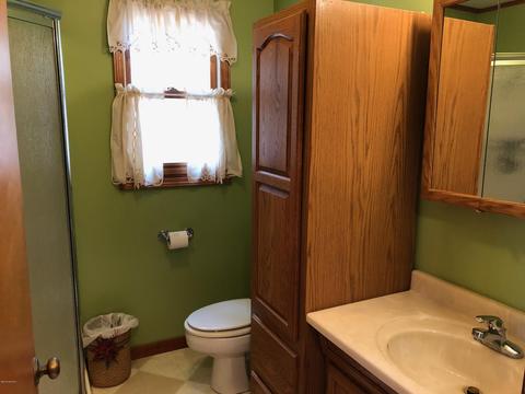 11077 N Java Rd, Irons, MI 49644 photo 10