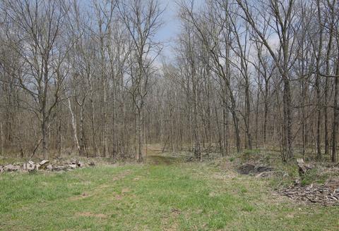 800 W A B Ave, Plainwell, MI 49080 photo 46