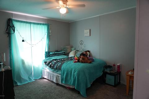 11890 Ware Rd, Lowell, MI 49331 photo 25