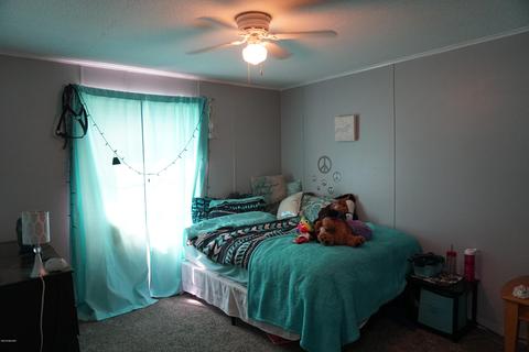 11890 Ware Rd, Lowell, MI 49331 photo 23
