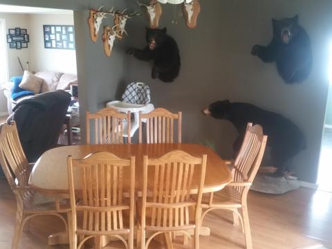 32 N State St, Hesperia, MI 49421 photo 4