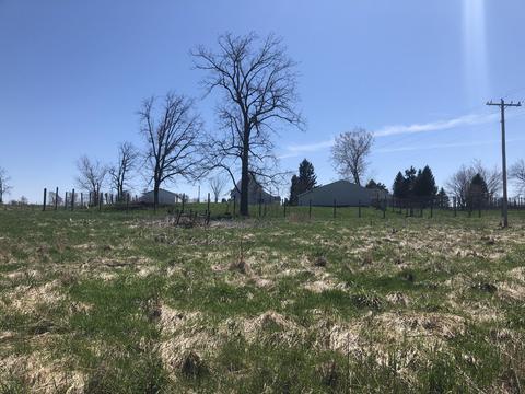 4151 Carpenter Rd, Reading, MI 49274 photo 29