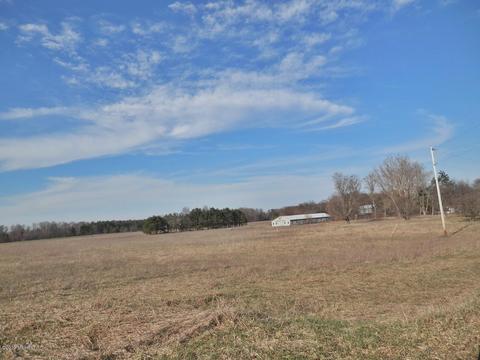 11626 Tannerville Rd, Kaleva, MI 49645 photo 33