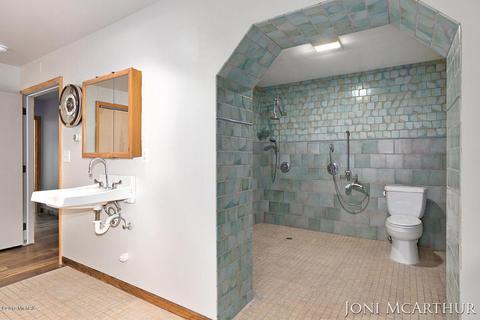 358 Potter Pl, Stanton, MI 48888 photo 17