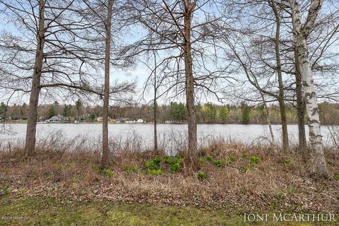 358 Potter Pl, Stanton, MI 48888 photo 30