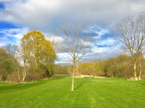 13251 Watson Rd, Bath, MI 48808 photo 33