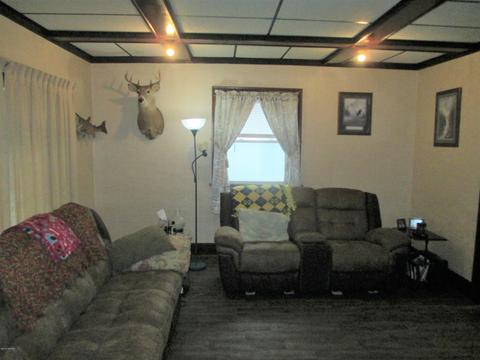 201 Chestnut St, Reading, MI 49274 photo 8