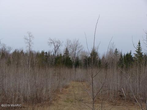 16321 Macarthur, Lachine, MI 49753 photo 21