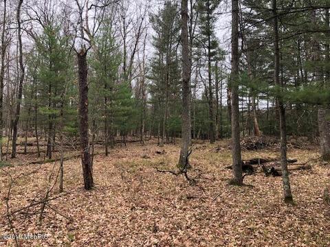 4793 E 40th St, Chase, MI 49623 photo 41