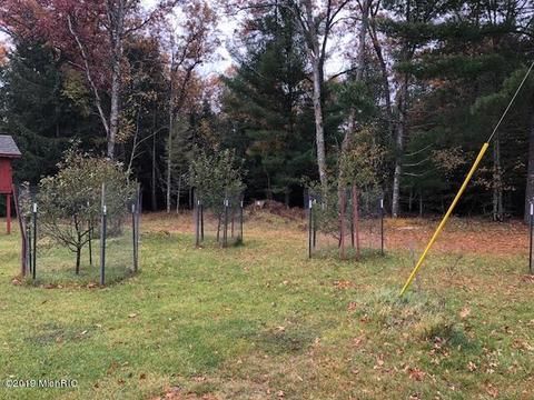 4793 E 40th St, Chase, MI 49623 photo 6