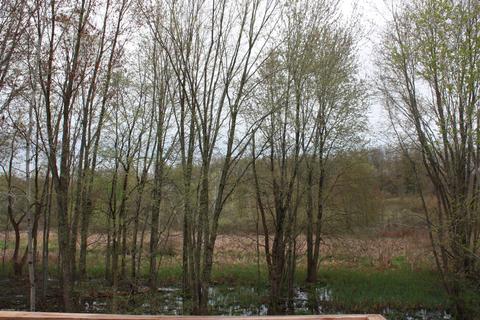 2236 138th Ave, Dorr, MI 49323 photo 9