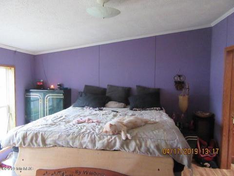 3867 200th Ave, Morley, MI 49336 photo 9